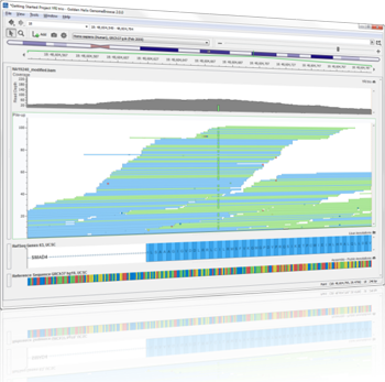 Explore DNA-Seq and RNA-Seq BAM files