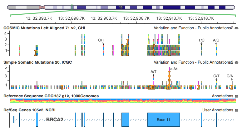 International Cancer Genome Consortium Database Now Available