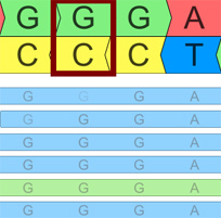 Variant Normalization