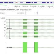 transcription annotation