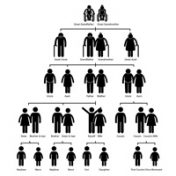 family structure