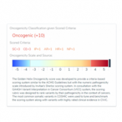 Oncogenicity Scoring in VSClinical