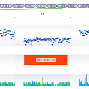 CNV Het Deletion