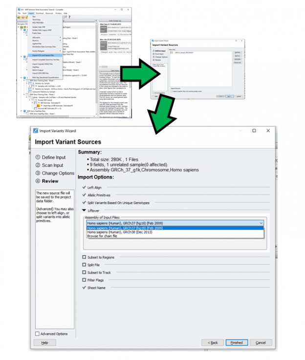 Coming to SVS: LiftOver Capability - The Golden Helix Blog