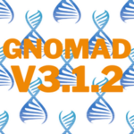 gnomad v3.1.2