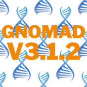 gnomad v3.1.2