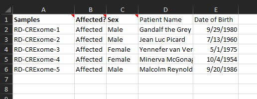 Figure 6: Example of a functional manifest in Excel.