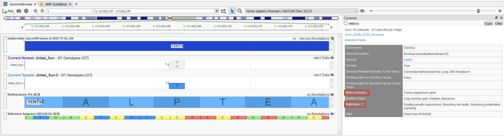 Figure 5: Seeing cancer hallmarks in GenomeBrowse.