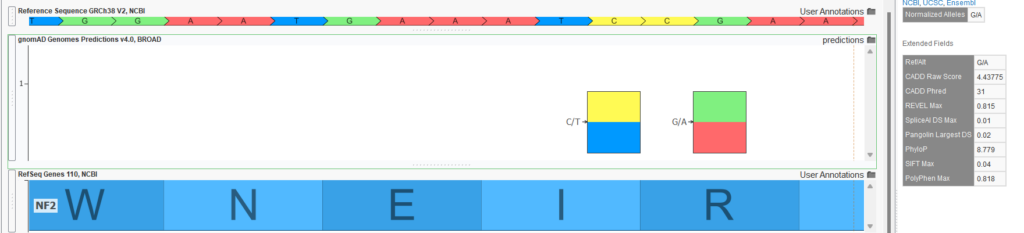 Figure 3: Example variant with function prediction output from gnomAD