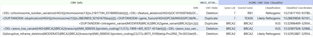 Figure 2. Examples of breakends imported as CNVs and their ACMG classification.