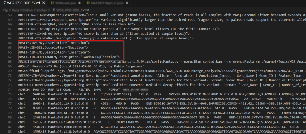 Figure 1. "SV.vcf" file highlighting deletions and duplications among the structural events that are called.
