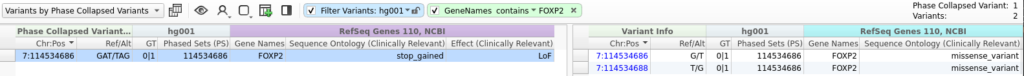 Example 1 Figure 1