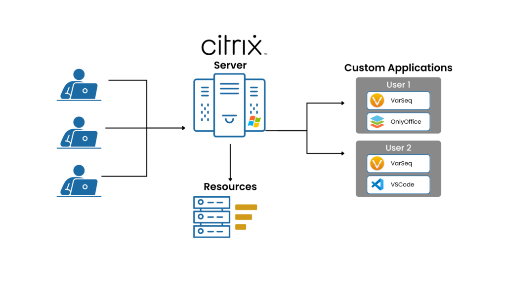 Illustration demonstrating the place of Citrix.