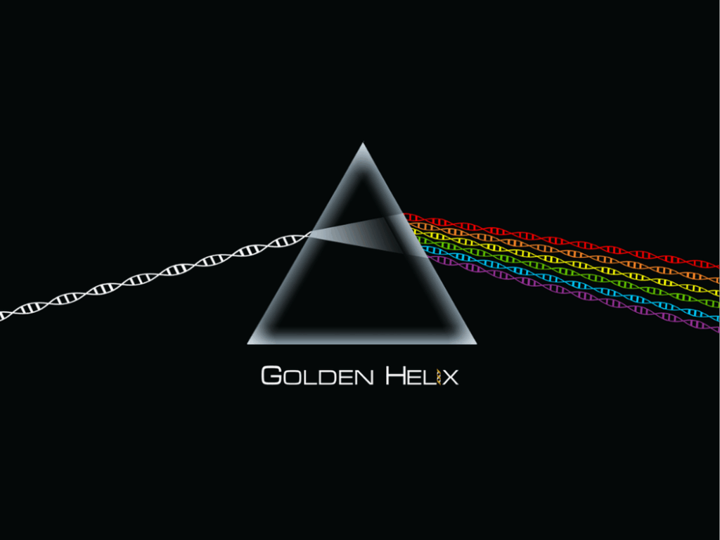 Gallery of previous years winning t-shirt designs.