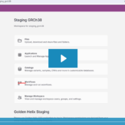 Automating Pharmacogenomics Workflows with VSWarehouse 3: From Variants to Clinical Reports ft. image