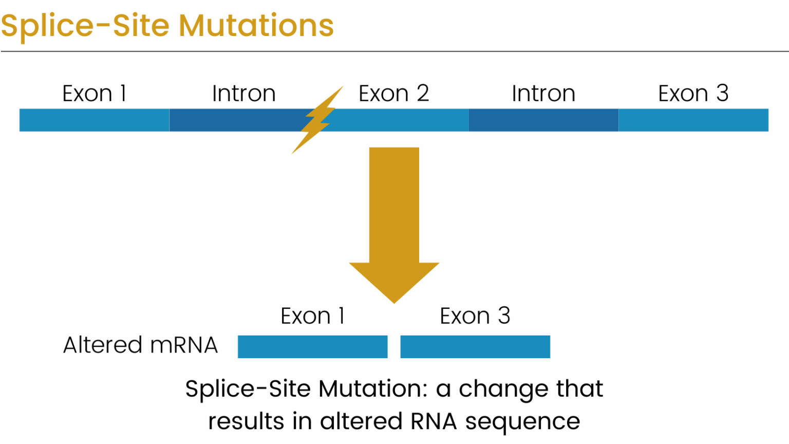 CI-SpliceAI Integration in VarSeq Improves Detection of Variants