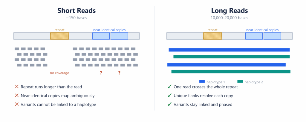 Secondary Analysis in VSWarehouse, Part 2: Long-Read Analysis Made Simple