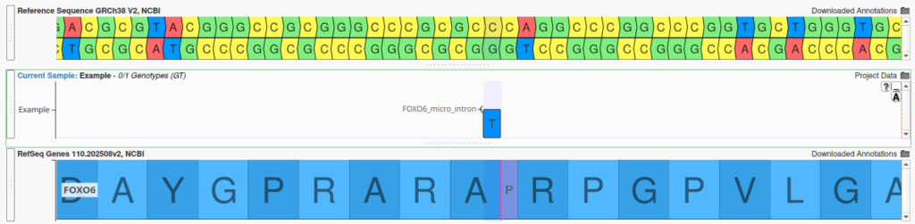 Why Curated RNAs and the Genome Can Differ