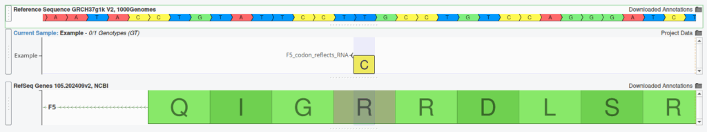 Codons and amino acids reflect the RNA