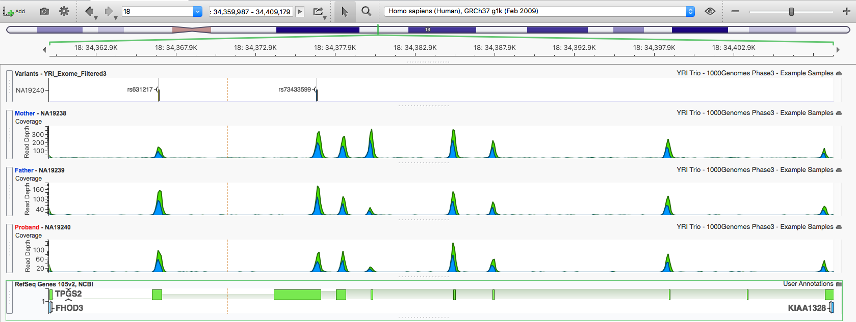 GenomeBrowse view of TPGS2 with both compound heterozygous variants