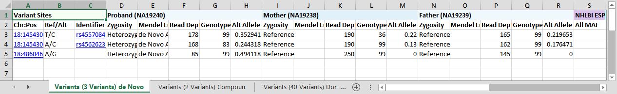 Excel file with separate tabs for each filter chain
