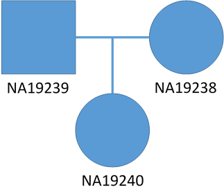 Trio pedigree diagram showing mother, father, and affected proband