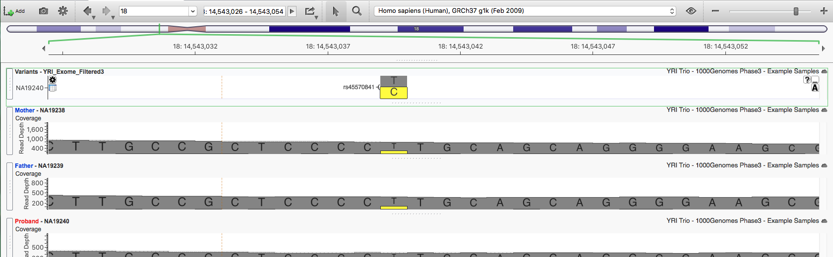 GenomeBrowse view of rs45570841 showing alternate allele reads in parents