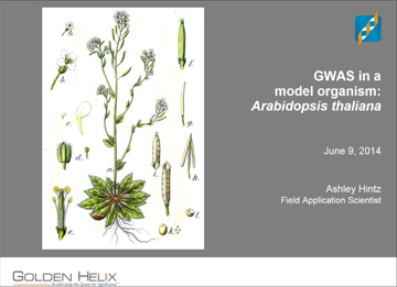 GWAS in a model organism: Arabidopsis thaliana