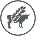 Agrigenomic Research