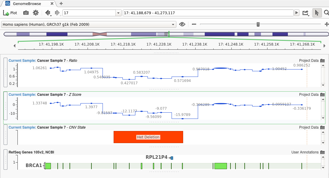 Welcome to the VarSeq CNV Caller Tutorial!