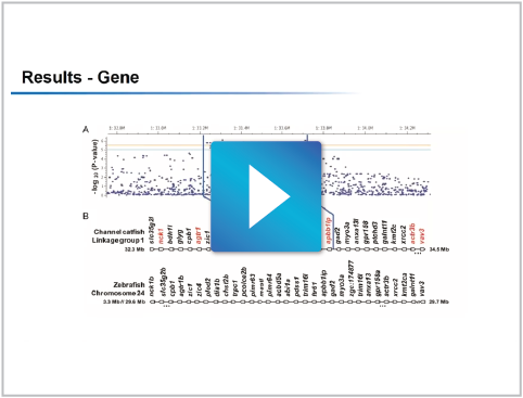 GWAS Analysis of QTL Using SVS