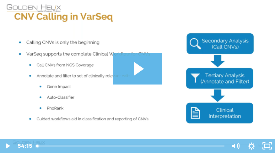 High Precision Exome CNV Detection with VS-CNV