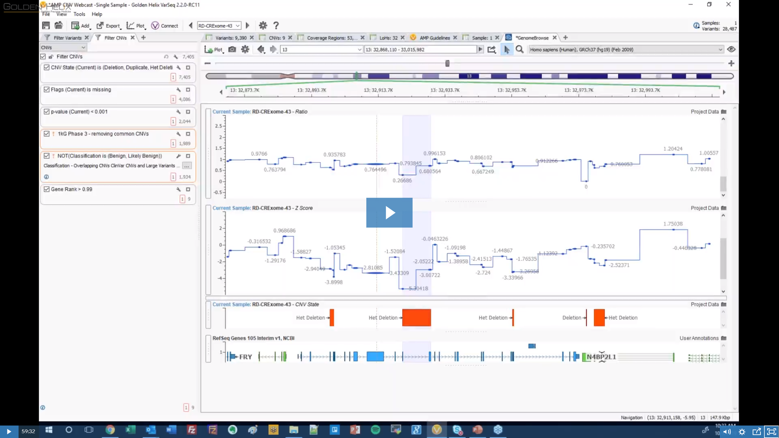 Clinical Validation of Copy Number Variants Using the AMP Guidelines