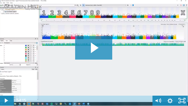 Simplify Your GWAS & Genomic Prediction with SVS