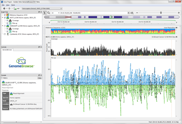 Exploring DNA/RNA-Seq Analysis Results with Golden Helix GenomeBrowse and SVS