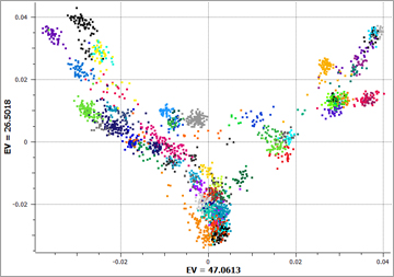 Mixed Models: How to Effectively Account for Inbreeding and Population Structure in GWAS