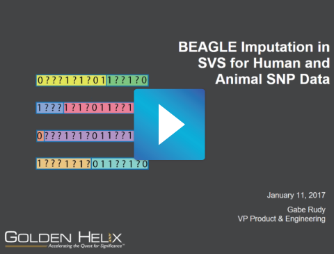 BEAGLE Imputation in SVS