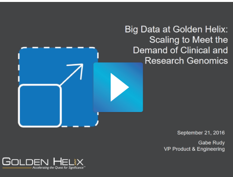 Big Data at Golden Helix