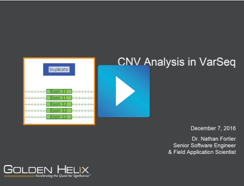 CNV Analysis in VarSeq