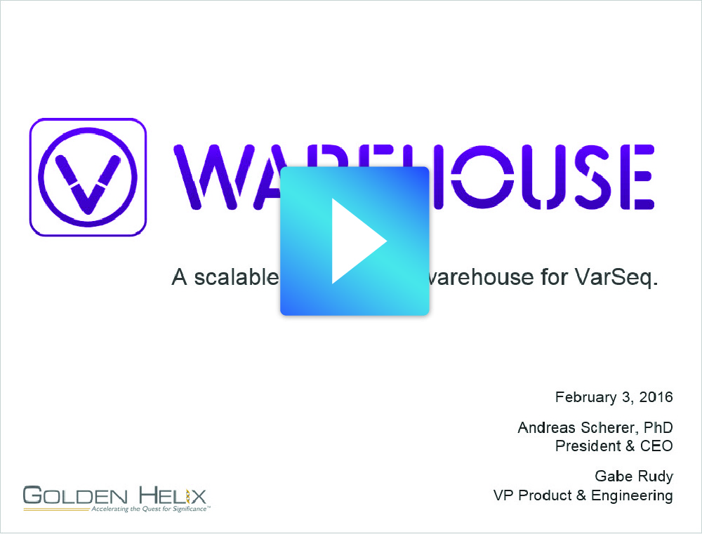 Introducing VSWarehouse